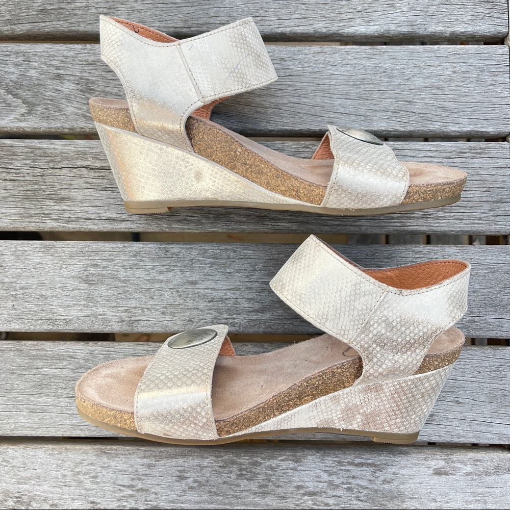 TAOS Carousel 2 Leather Open Toe Wedge Platform Sandal Silver Snakeskin Size 5.5 - Picture 3 of 10